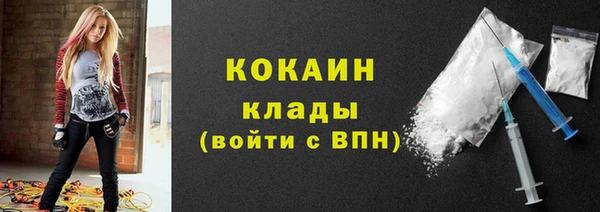 прущие грибы Богородск