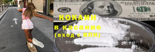 прущие грибы Богородск