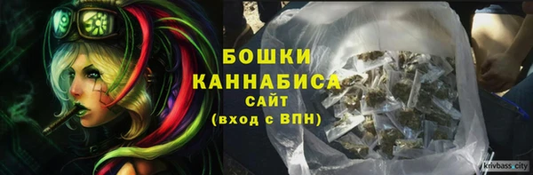 прущие грибы Богородск