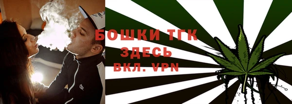 гашик Богданович