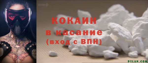 прущие грибы Богородск