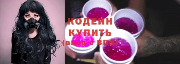 прущие грибы Богородск