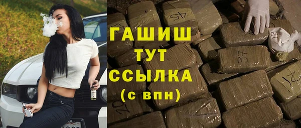 гашик Богданович