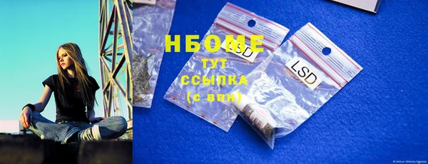 гашик Богданович