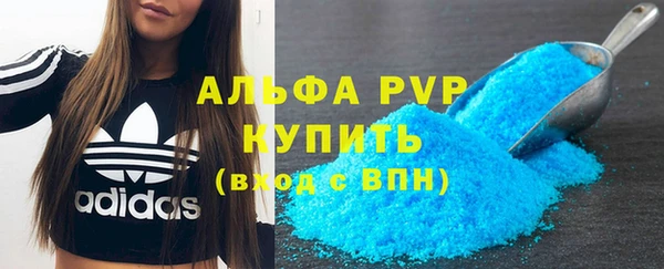 гашик Богданович