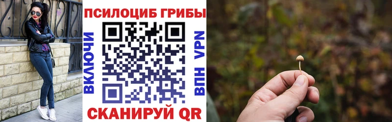 Галлюциногенные грибы Psilocybe  Купить закладки  Куса 